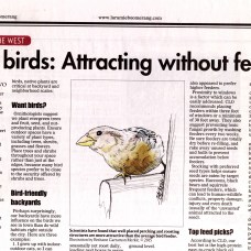 Series of articles investigating the science behind best practices for attracting backyard wild birds