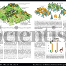 Illustrations commissioned by "American Scientist" magazine
